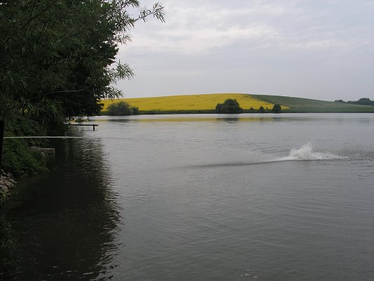 výcvik