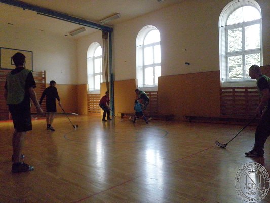 Sport
