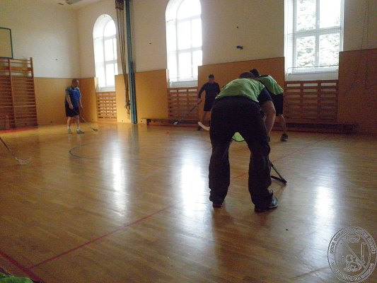 Sport