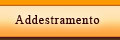 Addestramento