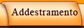 Addestramento
